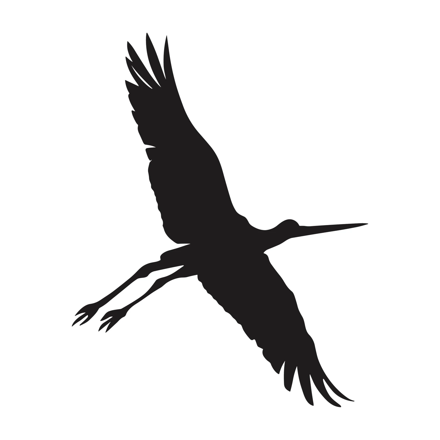 Drongo customizable silhouettes  set design #36863