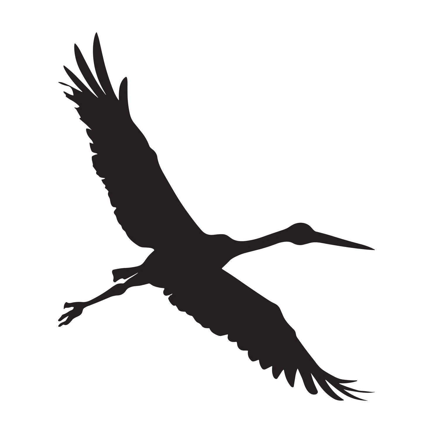 Drongo customizable silhouettes  set design #36864