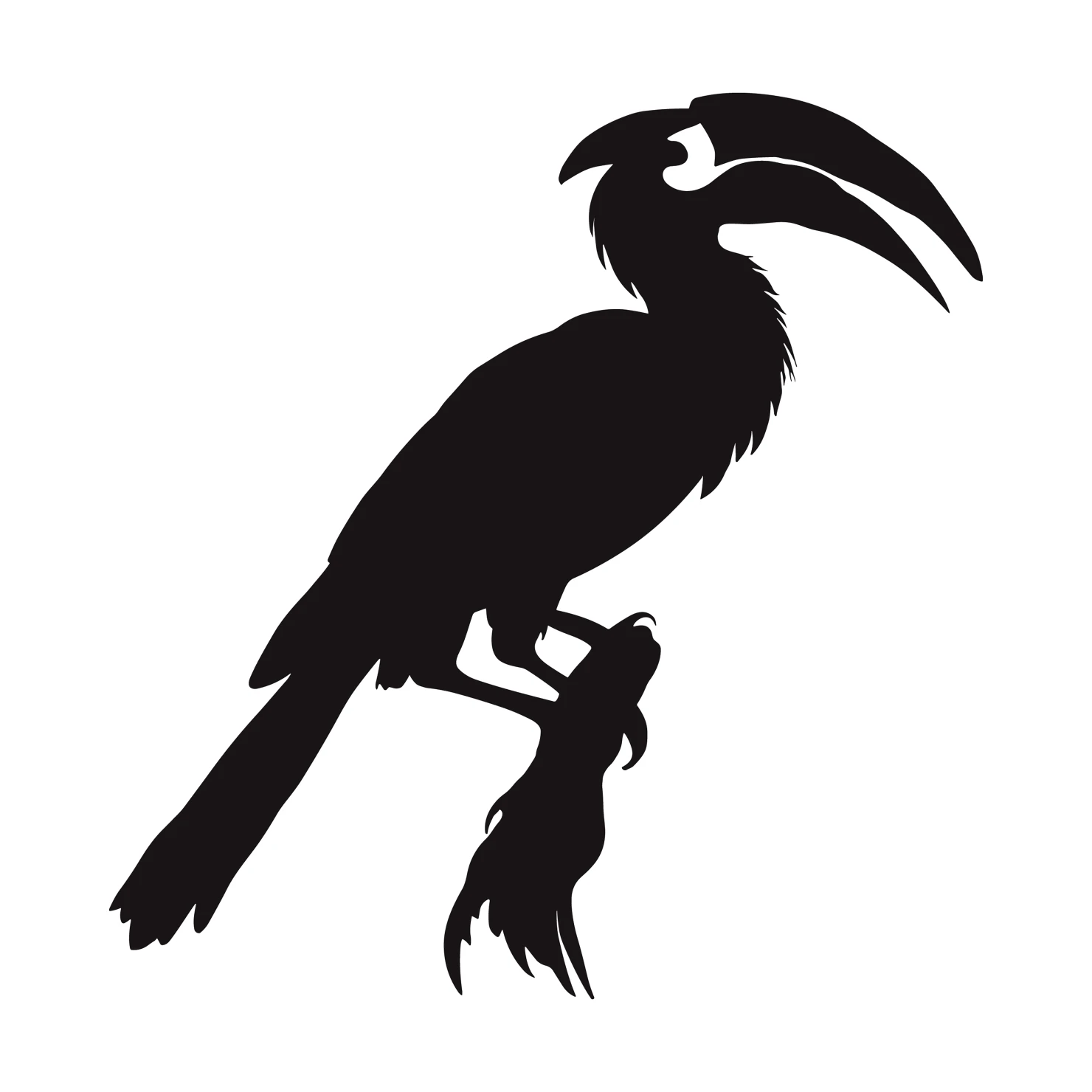 Hornbill bird customizable silhouettes  set design #36874