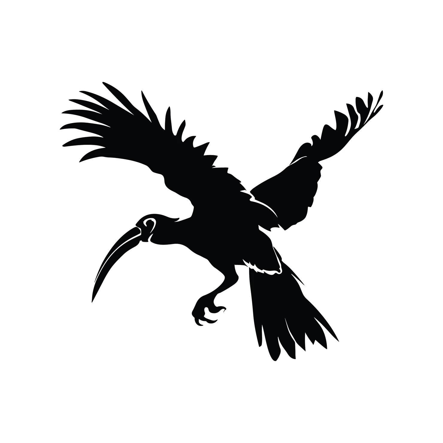 Hornbill bird customizable silhouettes  set design #36877