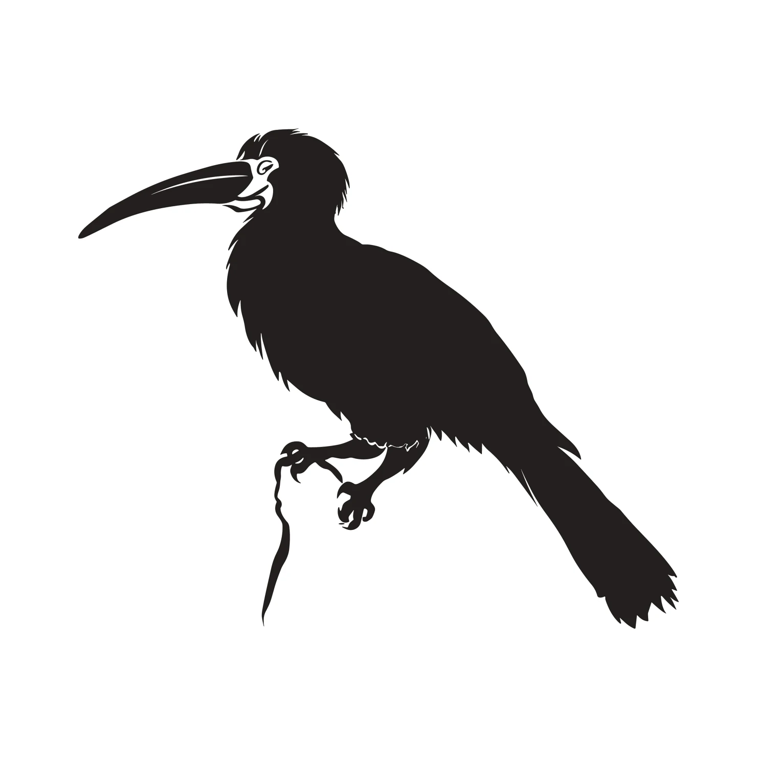 Hornbill bird customizable silhouettes  set design #36878