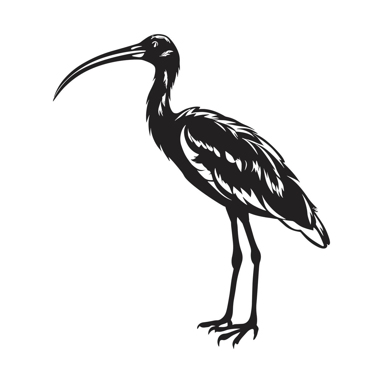 Ibis customizable silhouettes  set design #36881