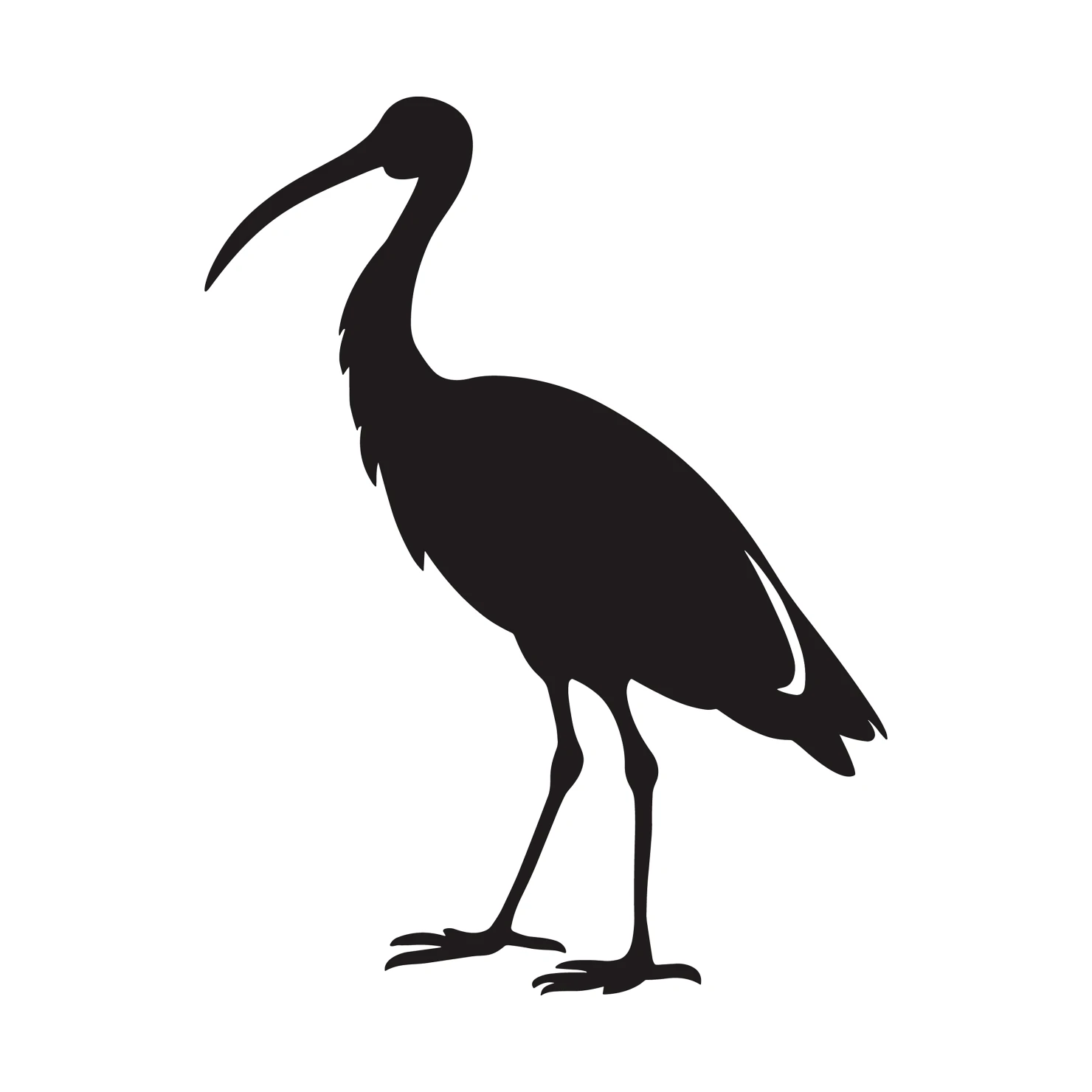 Ibis customizable silhouettes  set design #36882