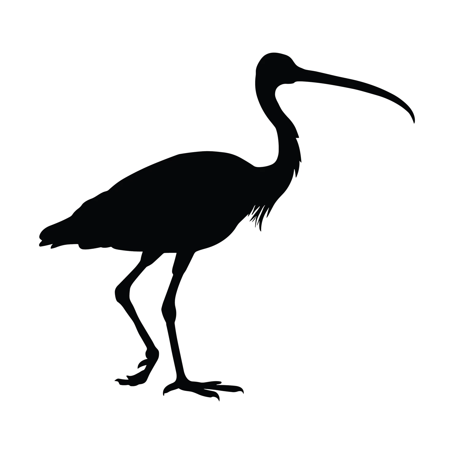Ibis customizable silhouettes  set design #36883