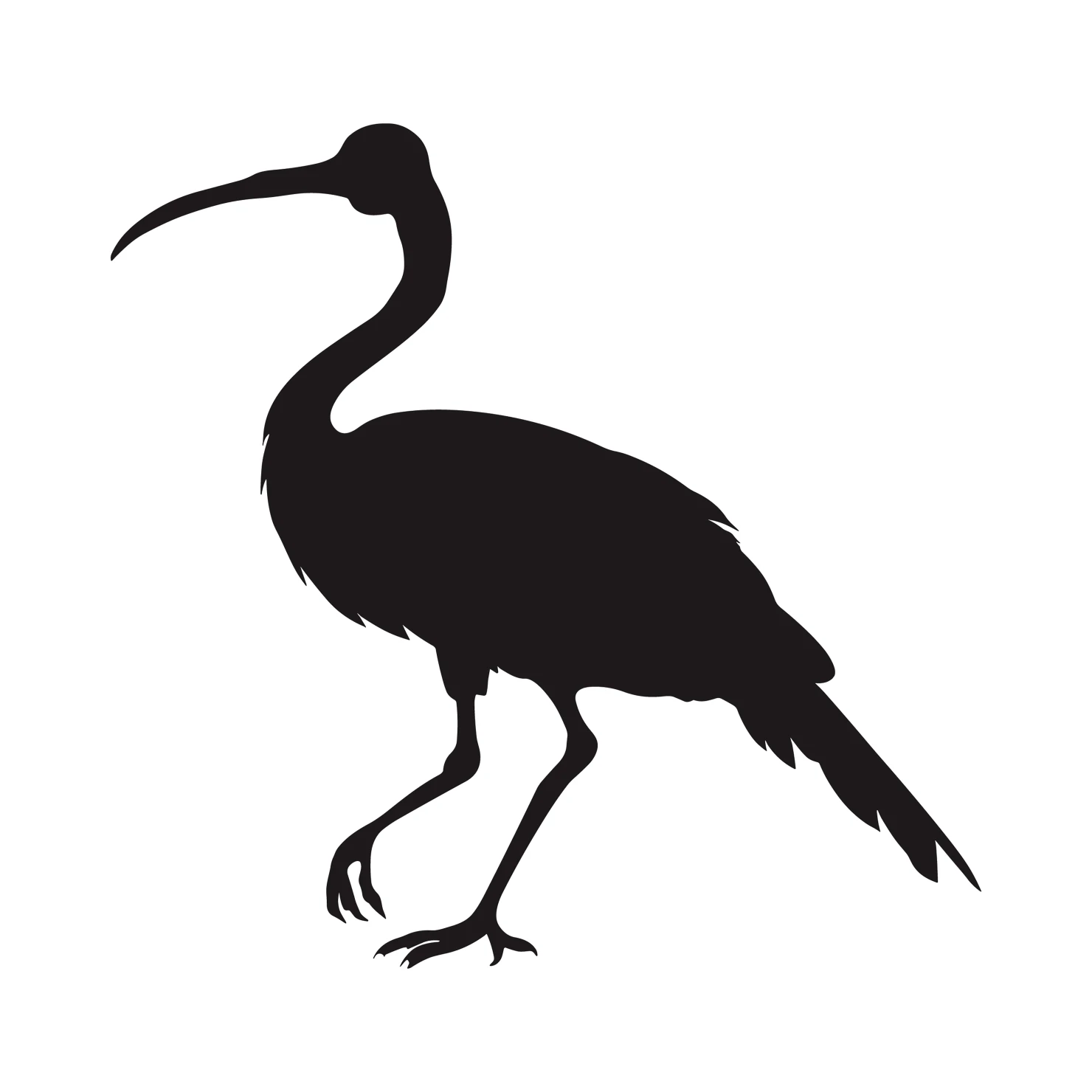Ibis customizable silhouettes  set design #36884