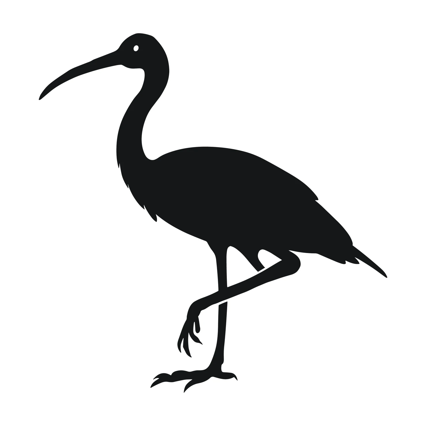 Ibis customizable silhouettes  set design #36890