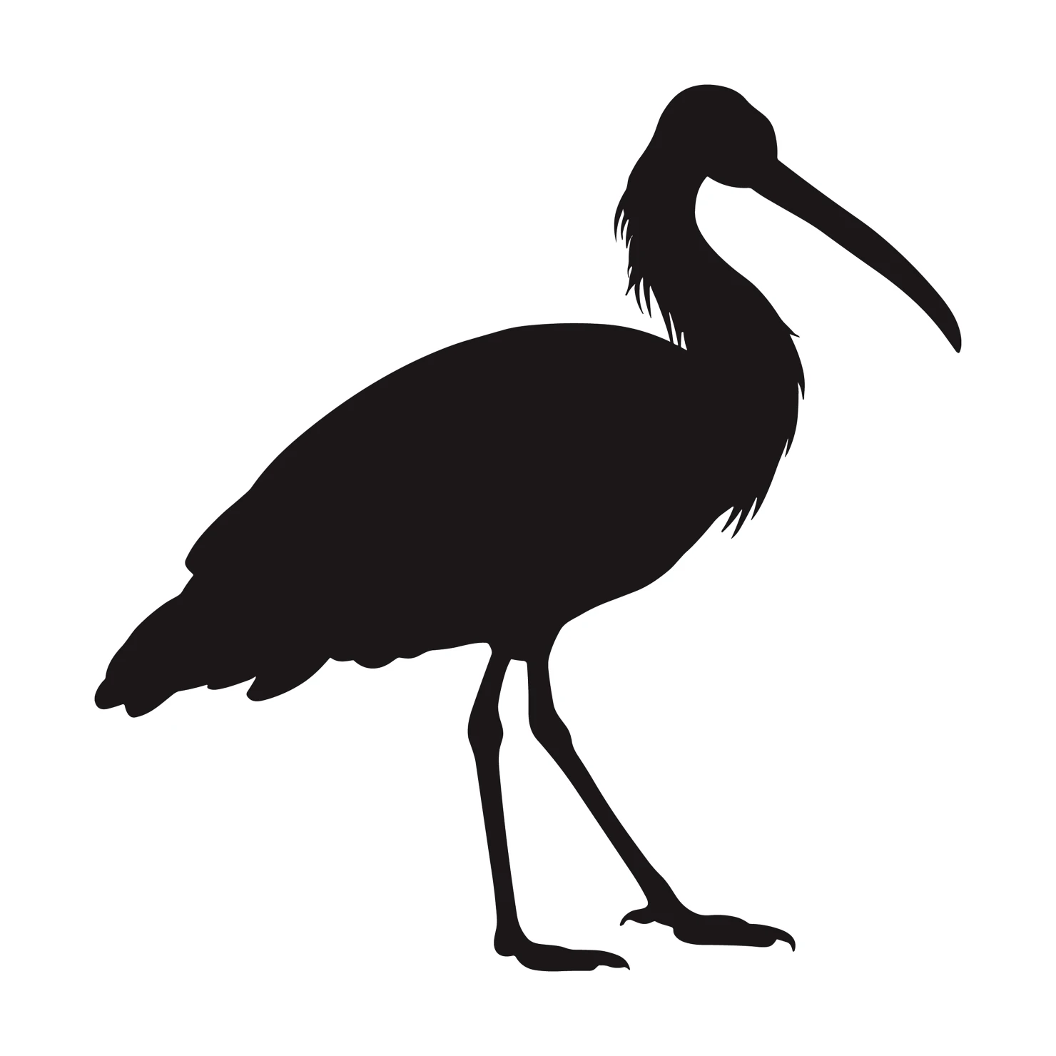 Ibis customizable silhouettes  set design #36891