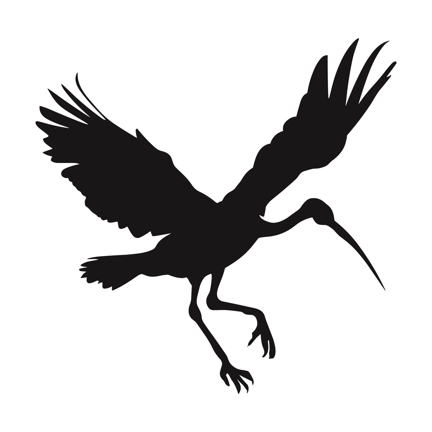 Ibis customizable silhouettes  set design #36892