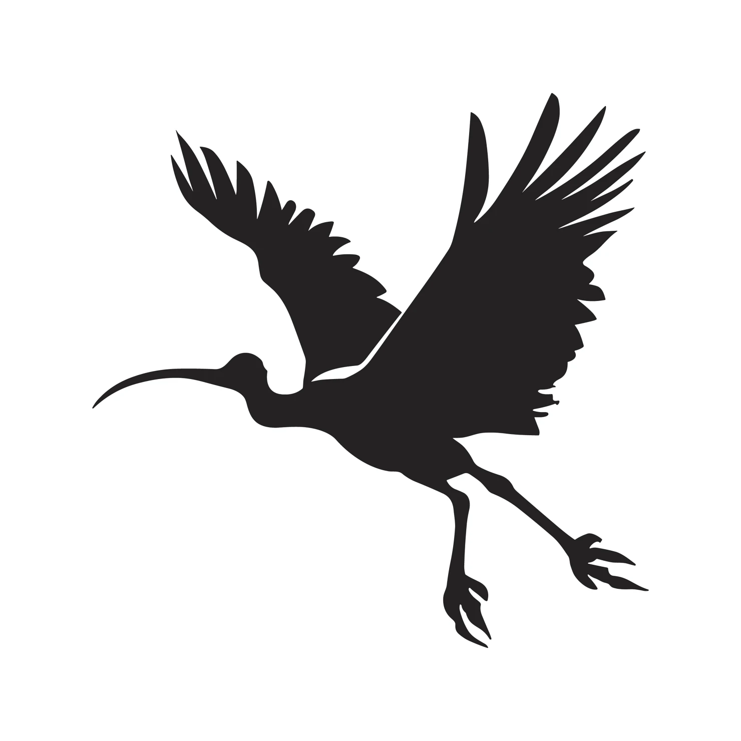 Ibis customizable silhouettes  set design #36894