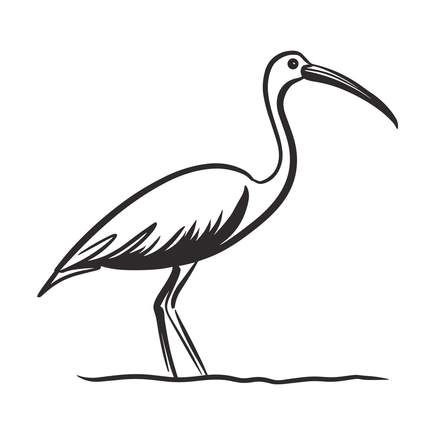 Ibis customizable clip artset design #36898