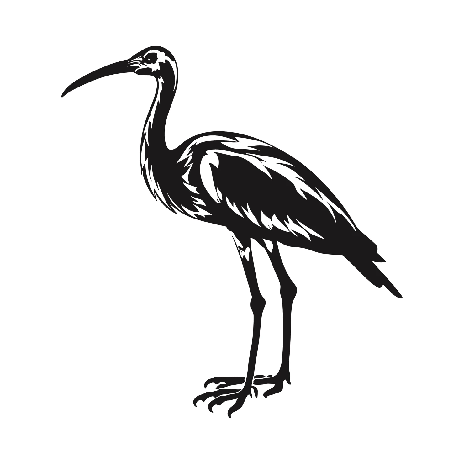 Ibis customizable clip artset design #36899