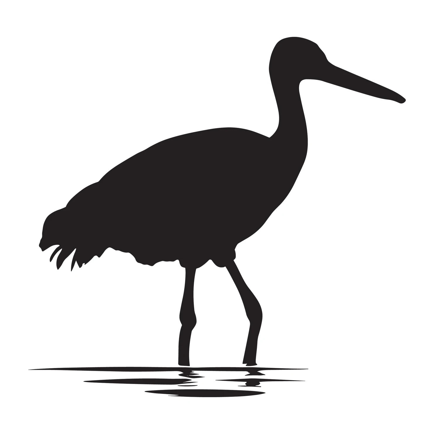 Jacana customizable silhouettes set design #36900