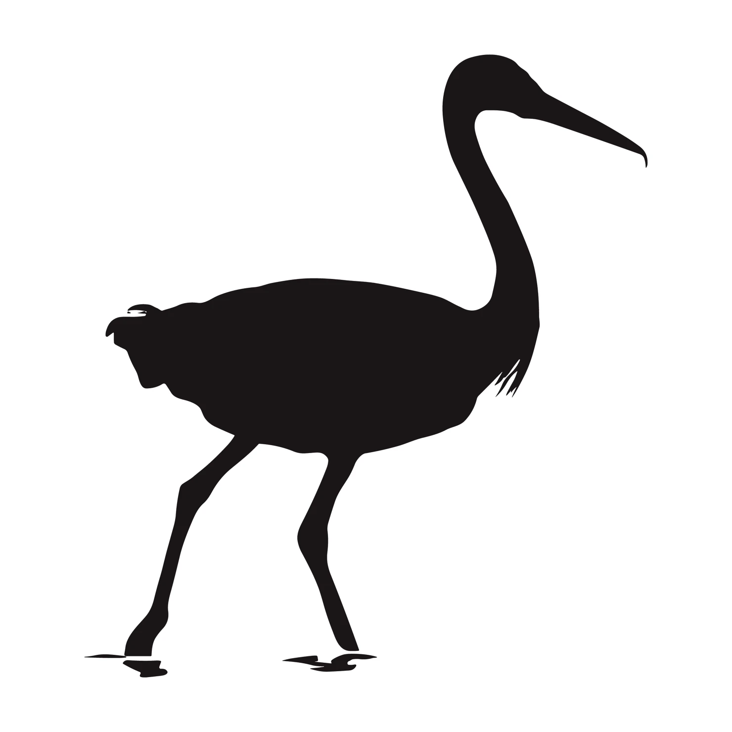 Jacana customizable silhouettes set design #36906