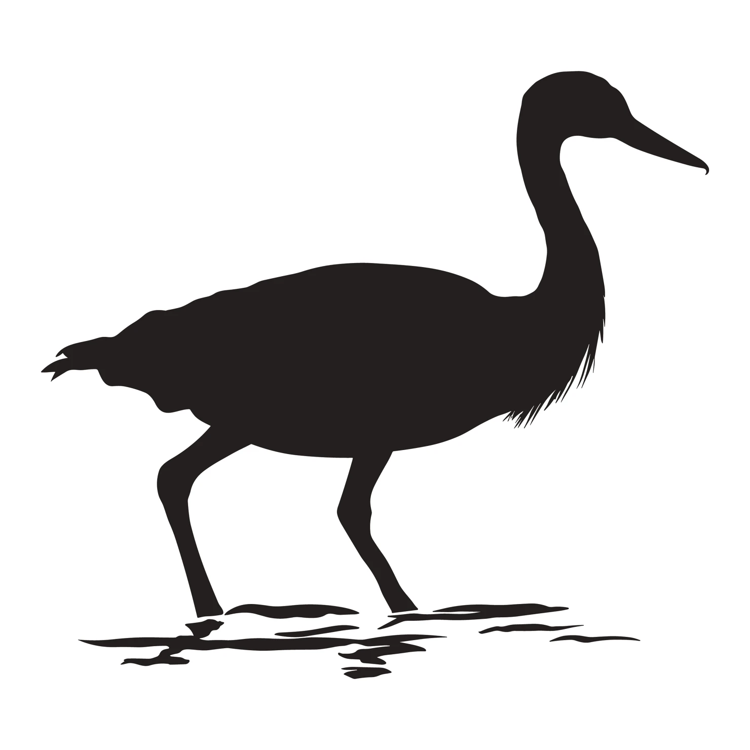 Jacana customizable silhouettes set design #36913