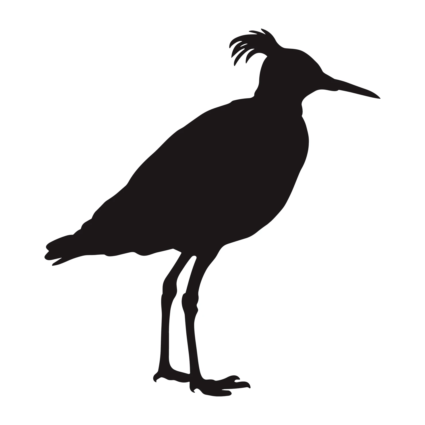 Lapwing customizable silhouettes set design #36920