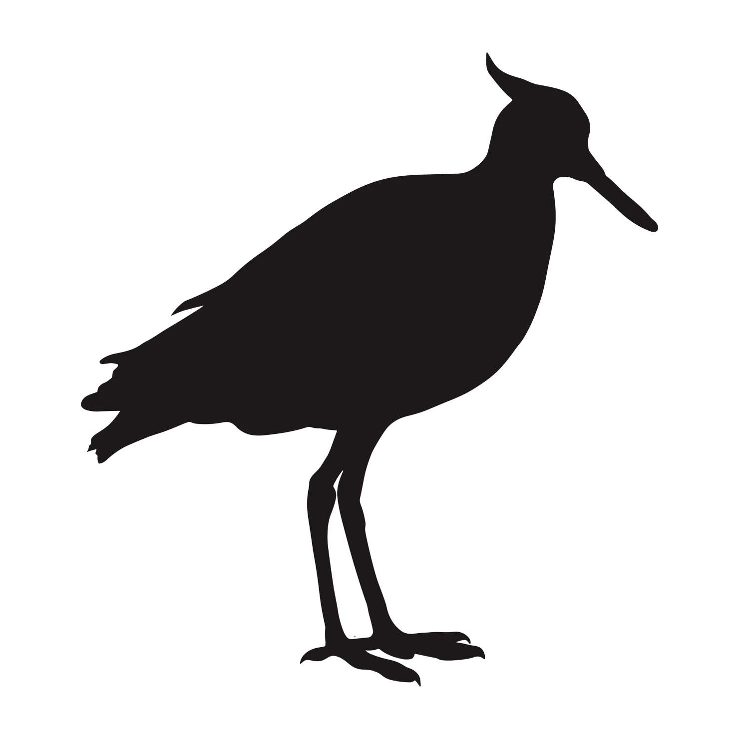 Lapwing customizable silhouettes set design #36925