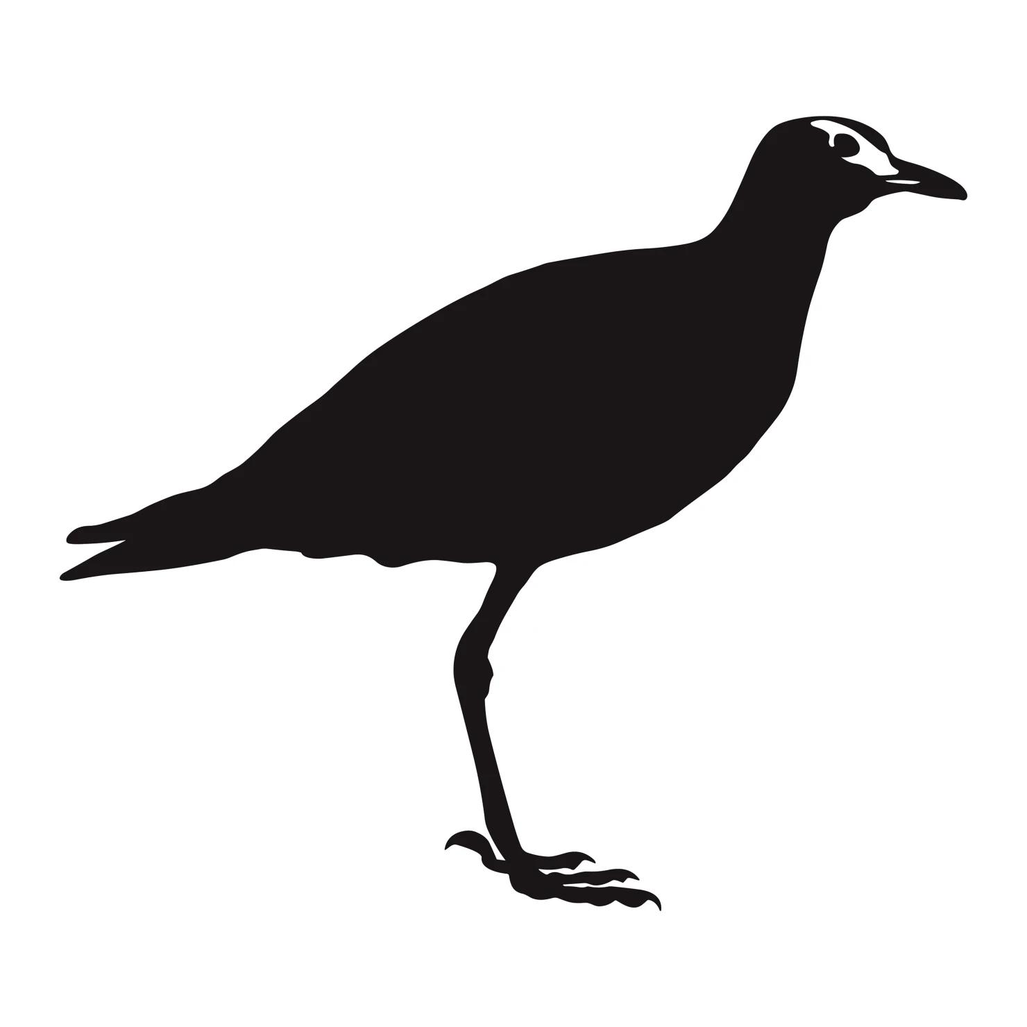 Lapwing customizable silhouettes set design #36937