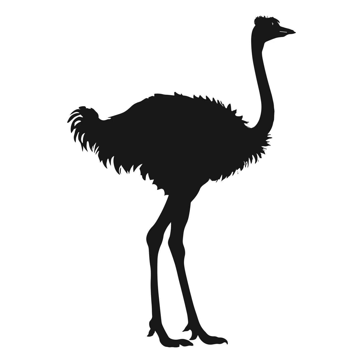 Ostrich customizable silhouettes set design #36939