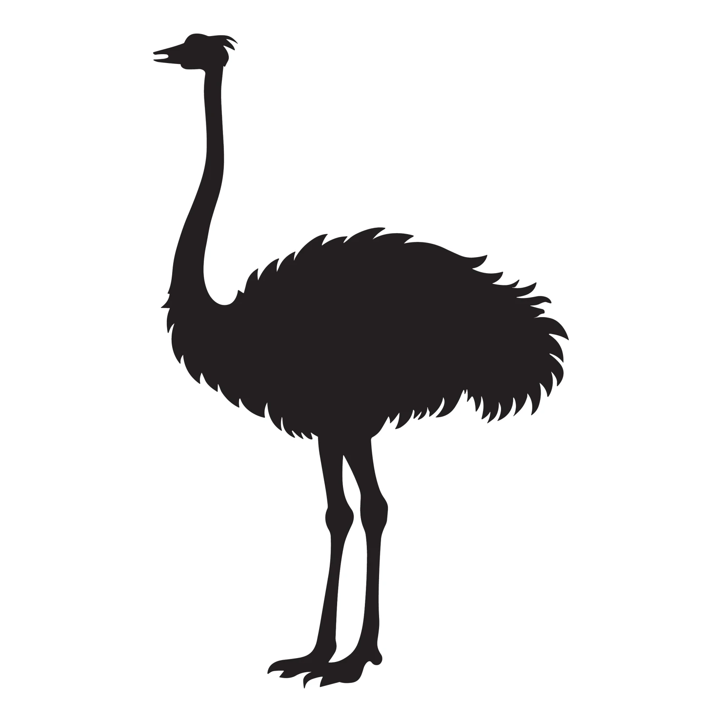 Ostrich customizable silhouettes set design #36940