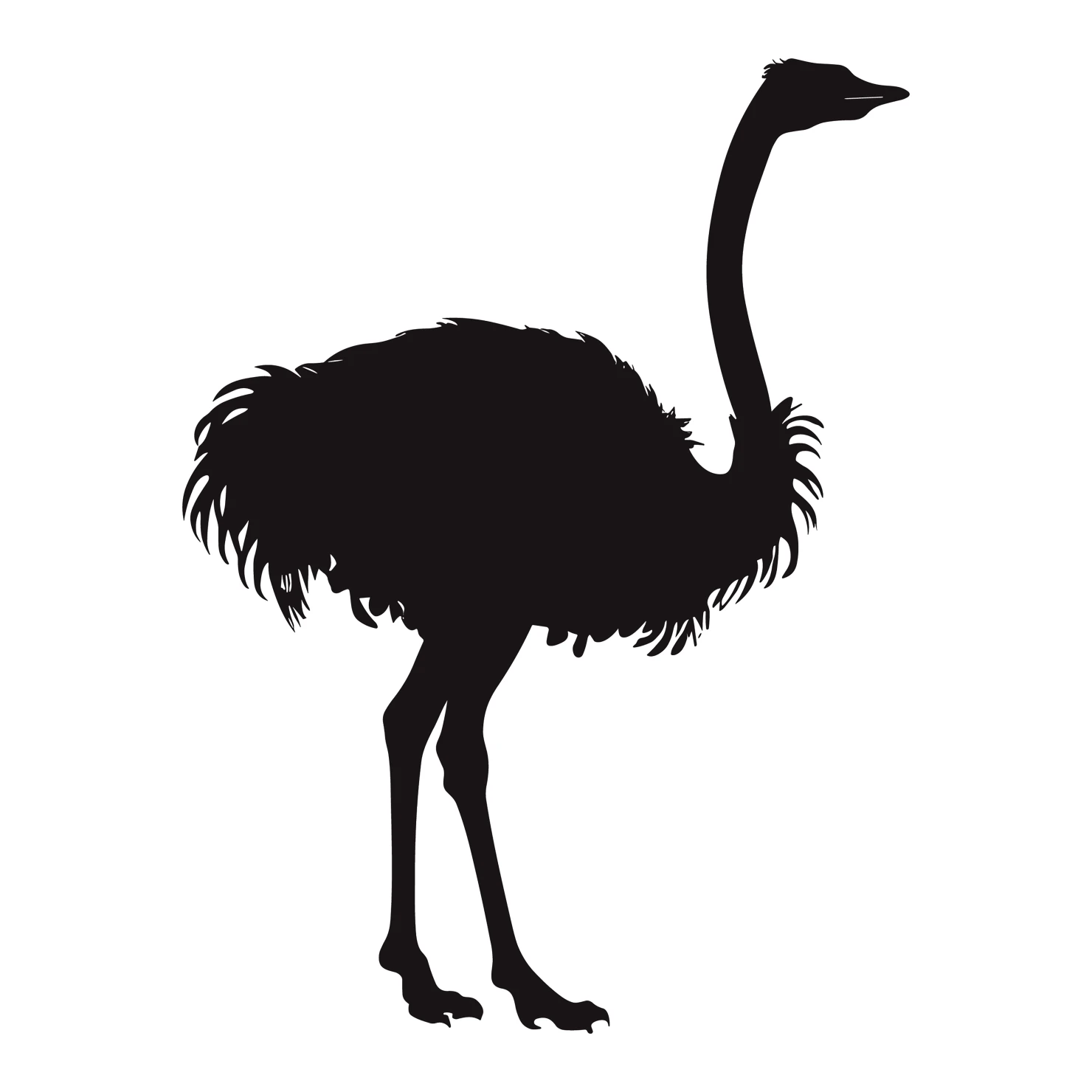 Ostrich customizable silhouettes set design #36942