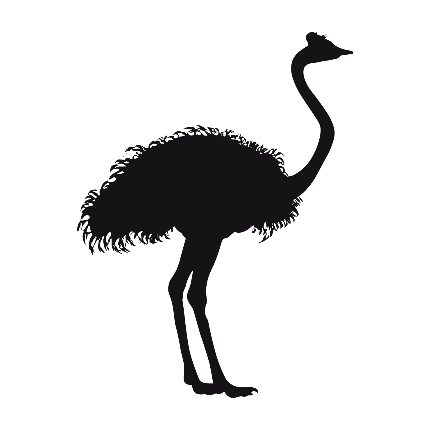 Ostrich customizable silhouettes set design #36943