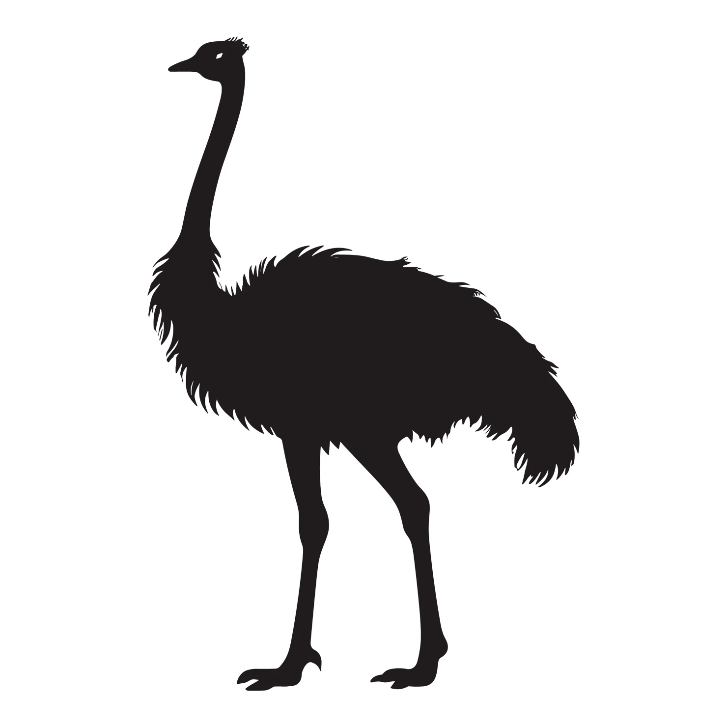 Ostrich customizable silhouettes set design #36944