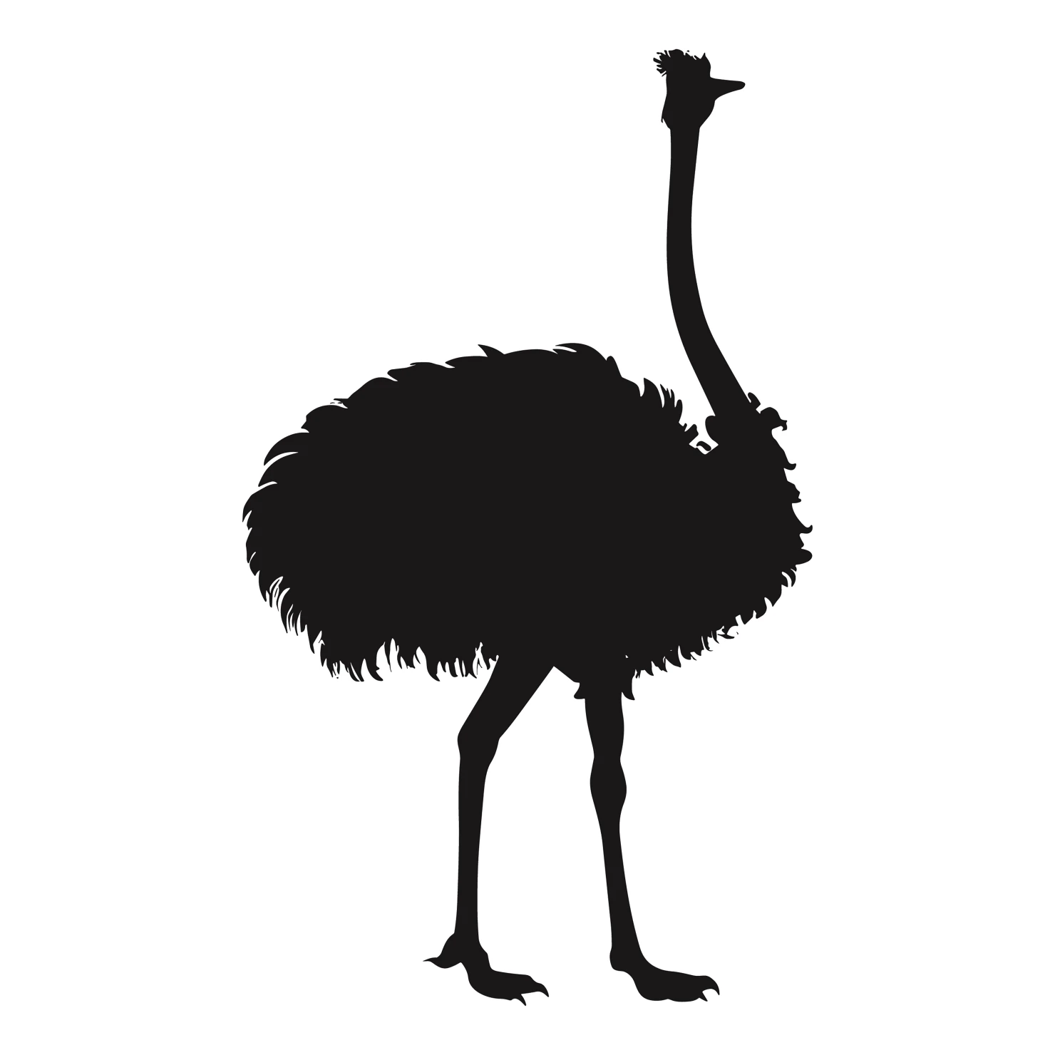 Ostrich customizable silhouettes set design #36953