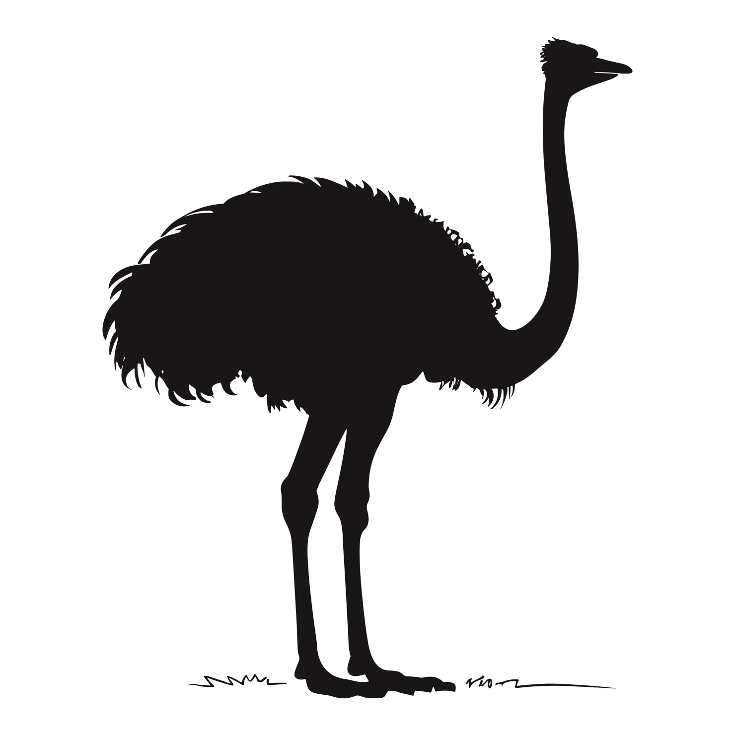 Ostrich customizable silhouettes set design #36954