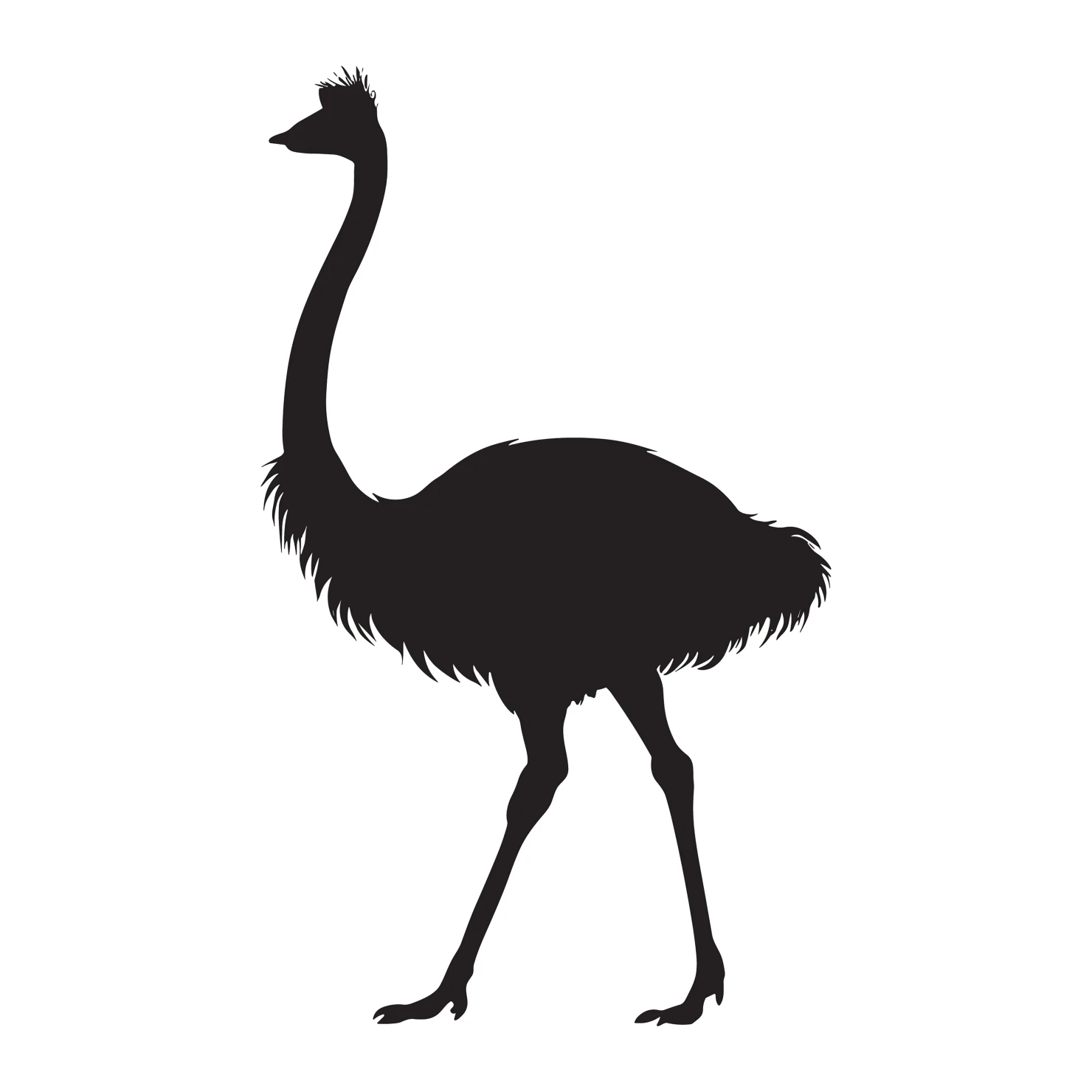 Ostrich customizable silhouettes set design #36957