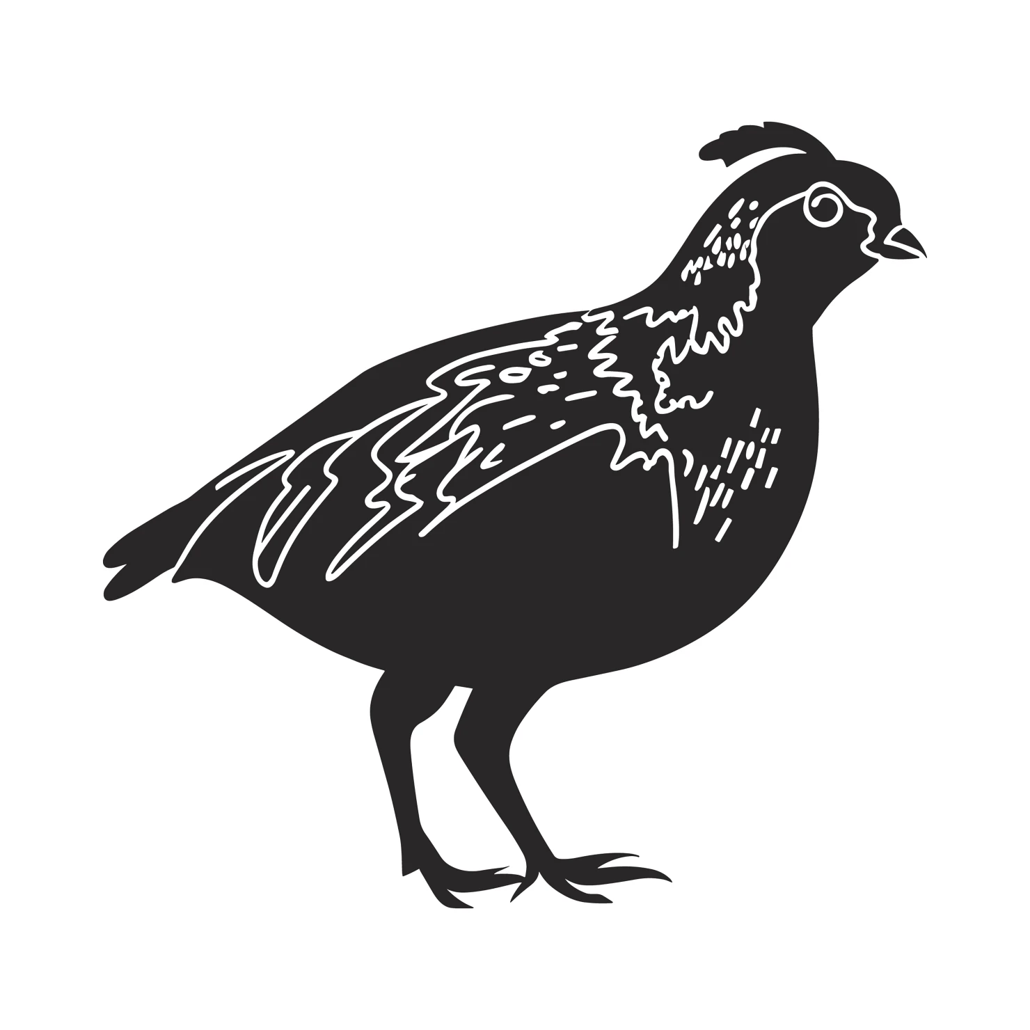 Quail customizable clip art set design #36973
