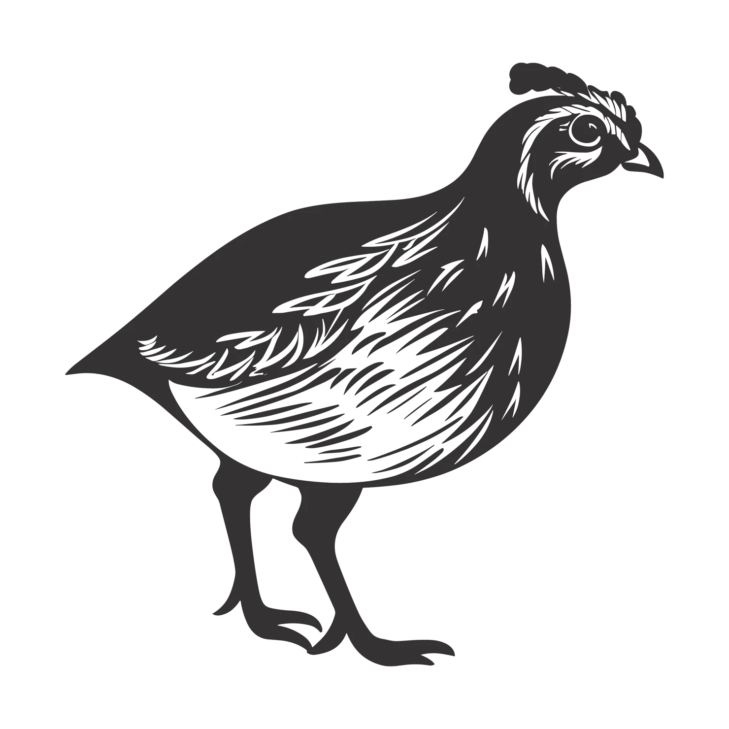 Quail customizable clip art set design #36975