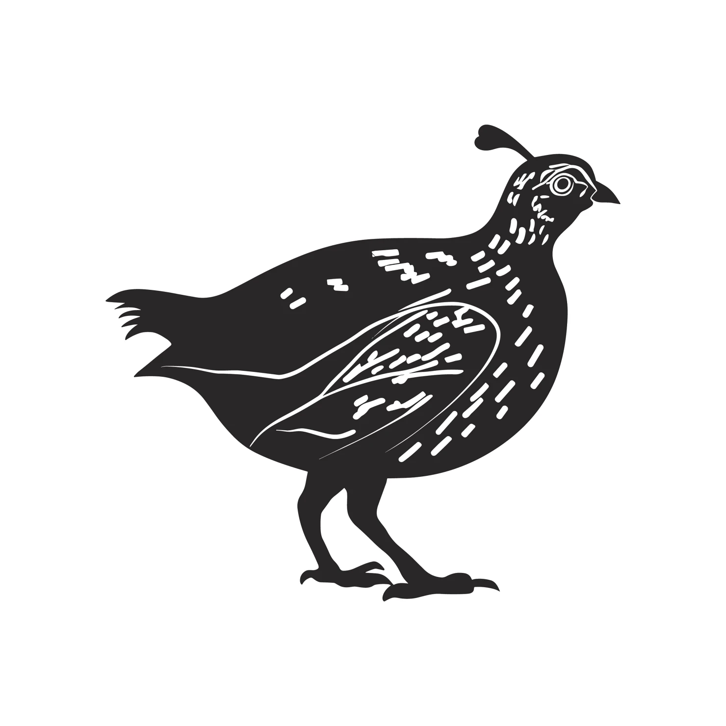Quail customizable clip art set design #36978