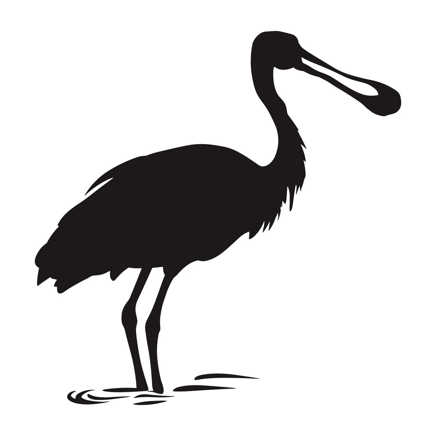 Spoonbill customizable silhouettes set design #36991