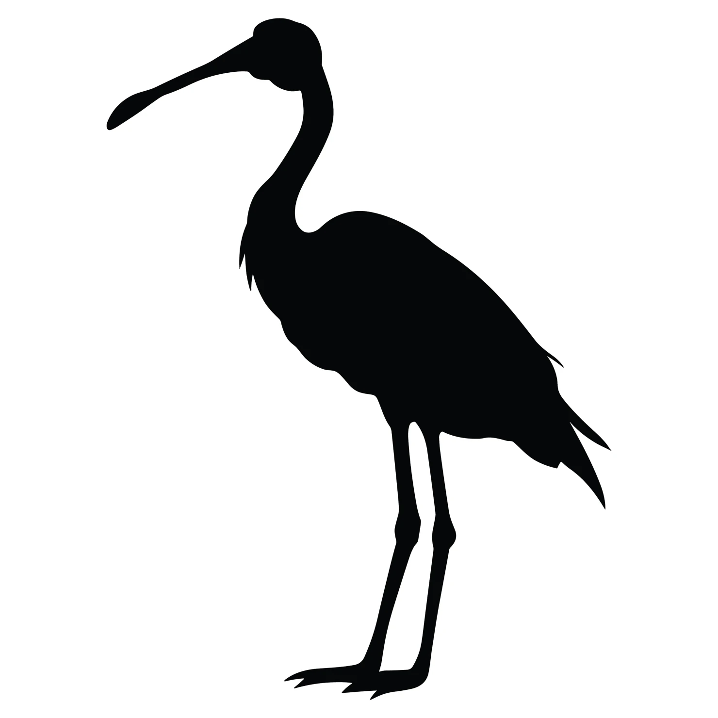 Spoonbill customizable silhouettes set design #36992