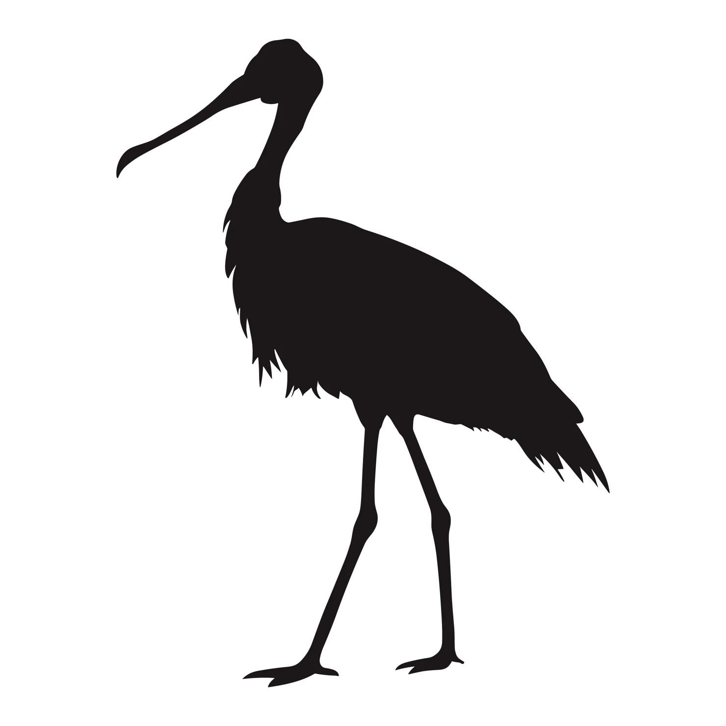 Spoonbill customizable silhouettes set design #36993