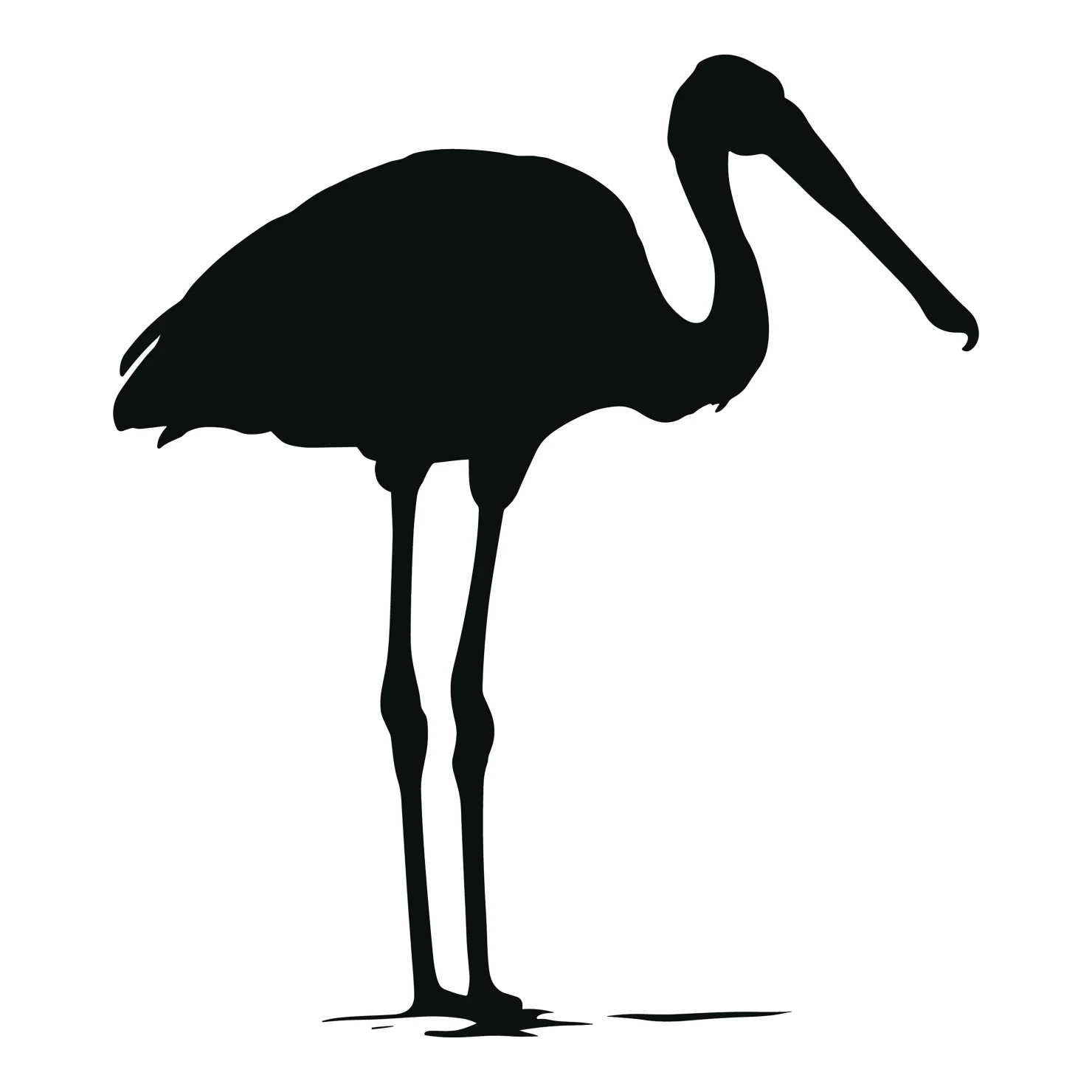 Spoonbill customizable silhouettes set design #36994