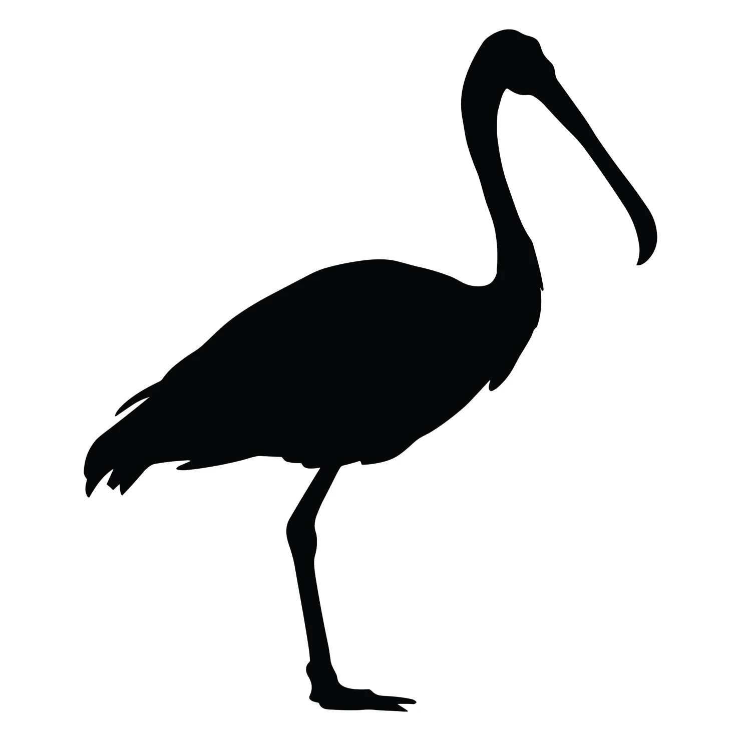 Spoonbill customizable silhouettes  set design #36995