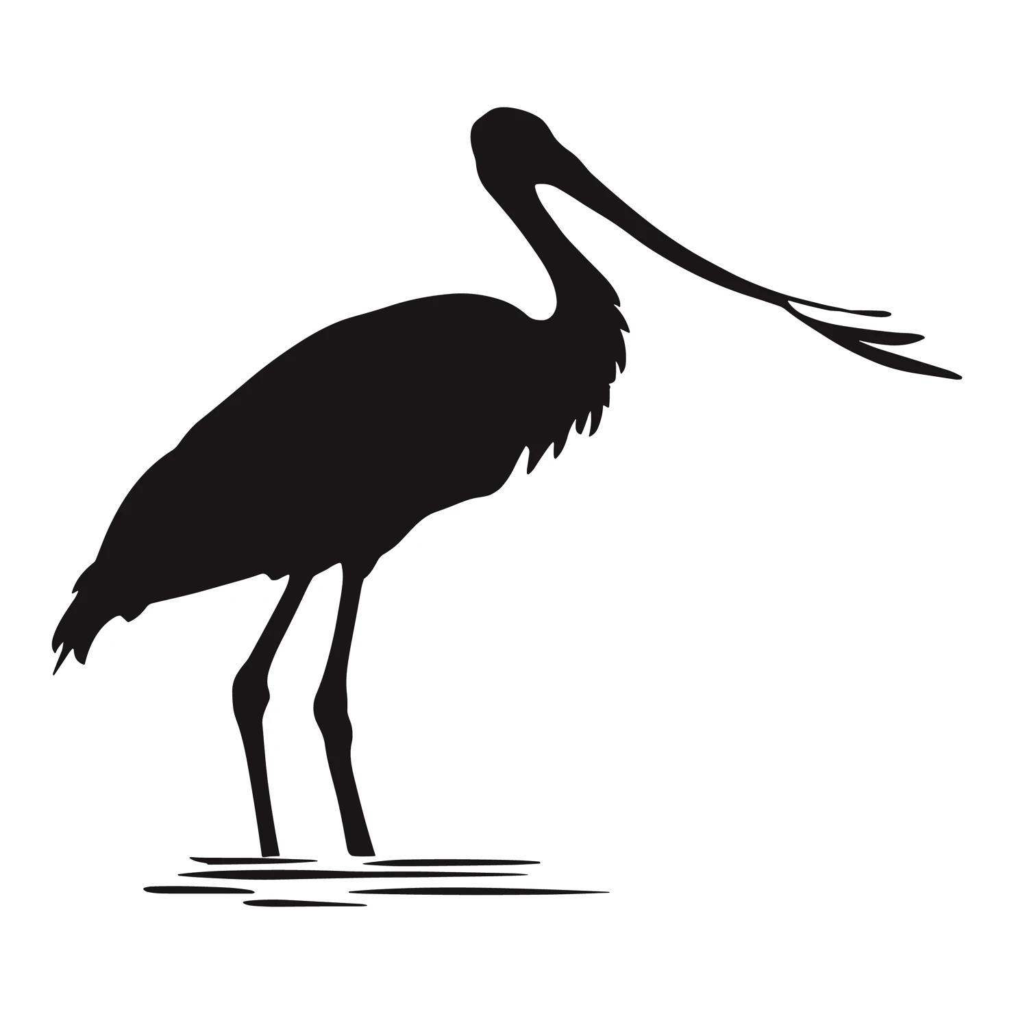 Spoonbill customizable silhouettes  set design #36996