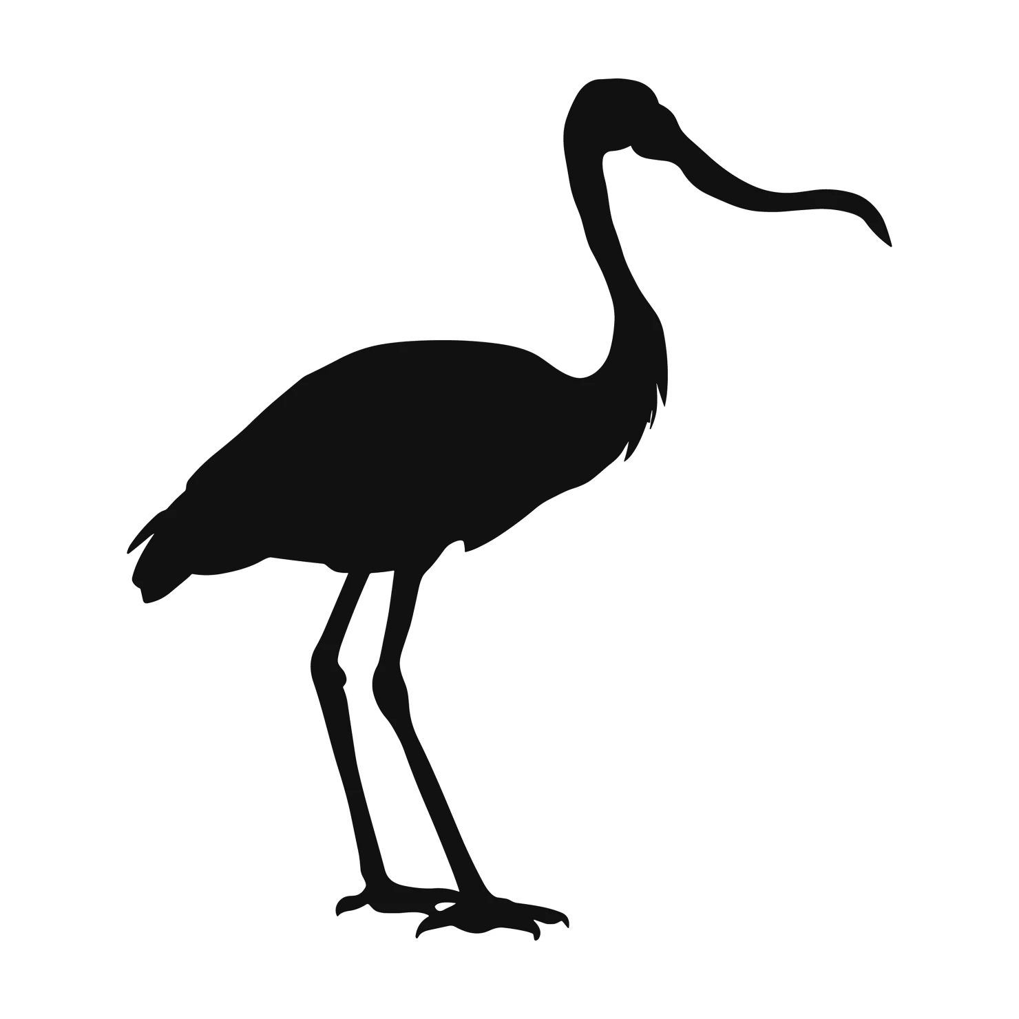 Spoonbill customizable silhouettes  set design #36998