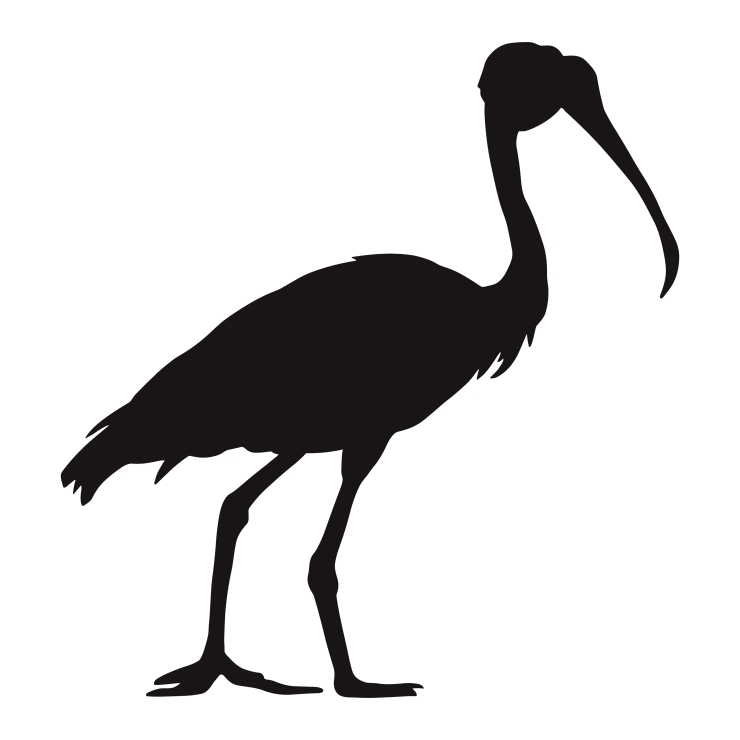 Spoonbill customizable silhouettes set design #37000
