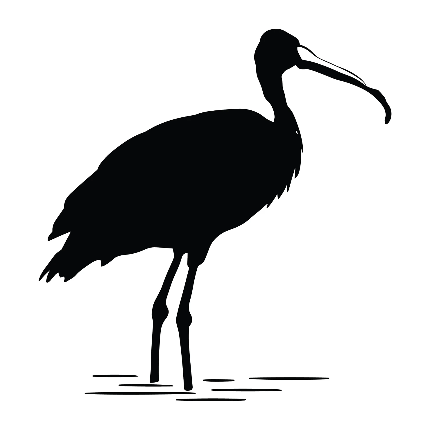 Spoonbill customizable silhouettes set design #37001