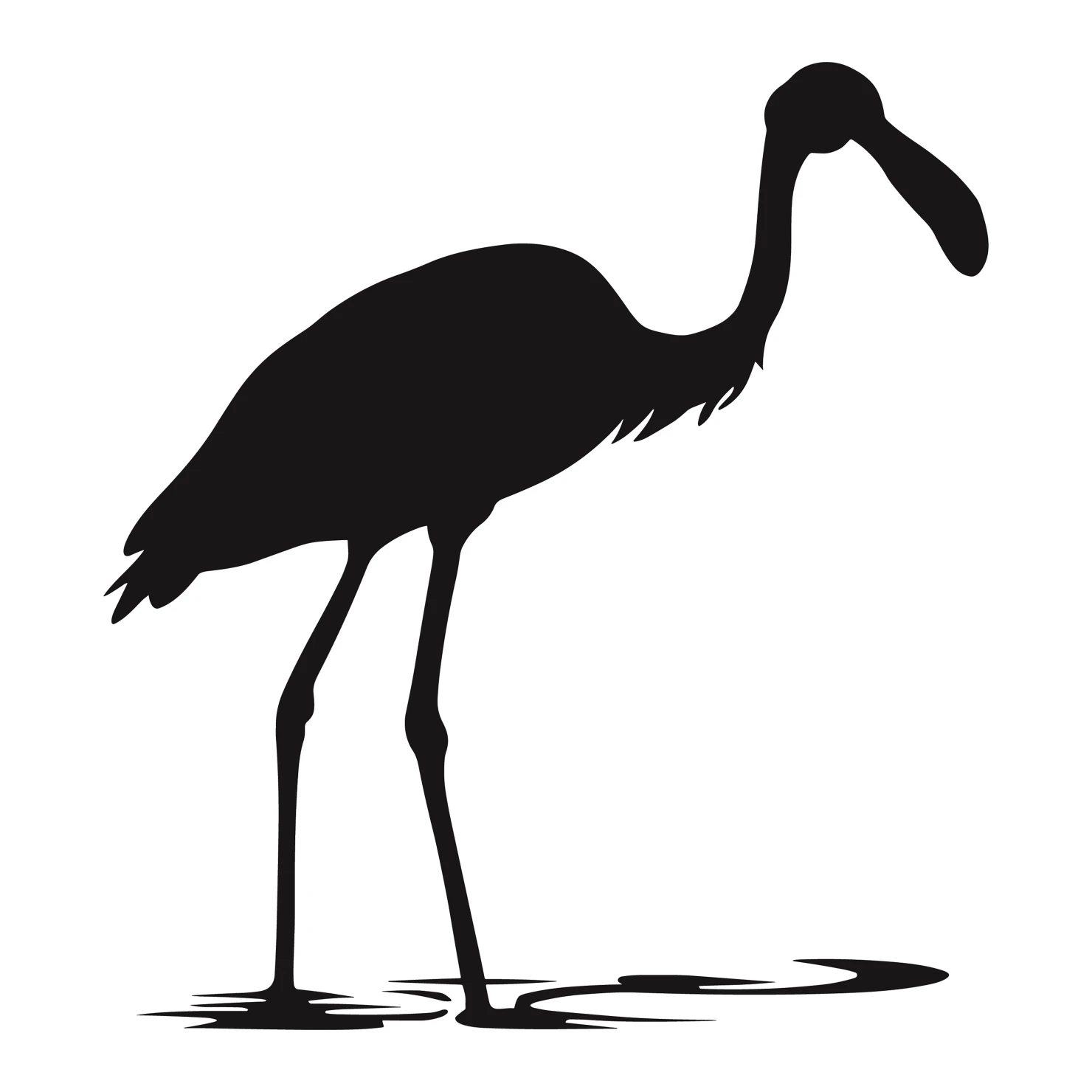 Spoonbill customizable silhouettes set design #37004