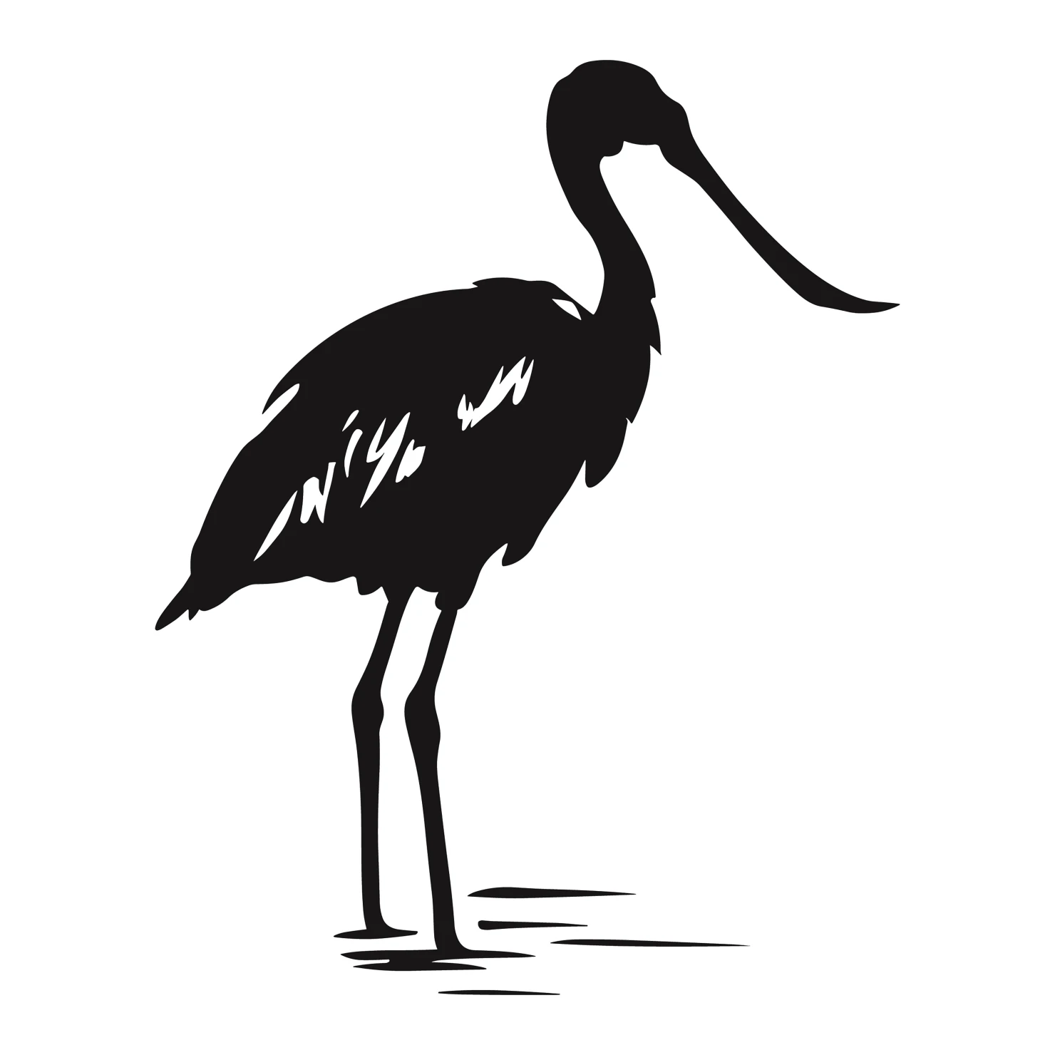 Spoonbill customizable silhouettes  set design #37009