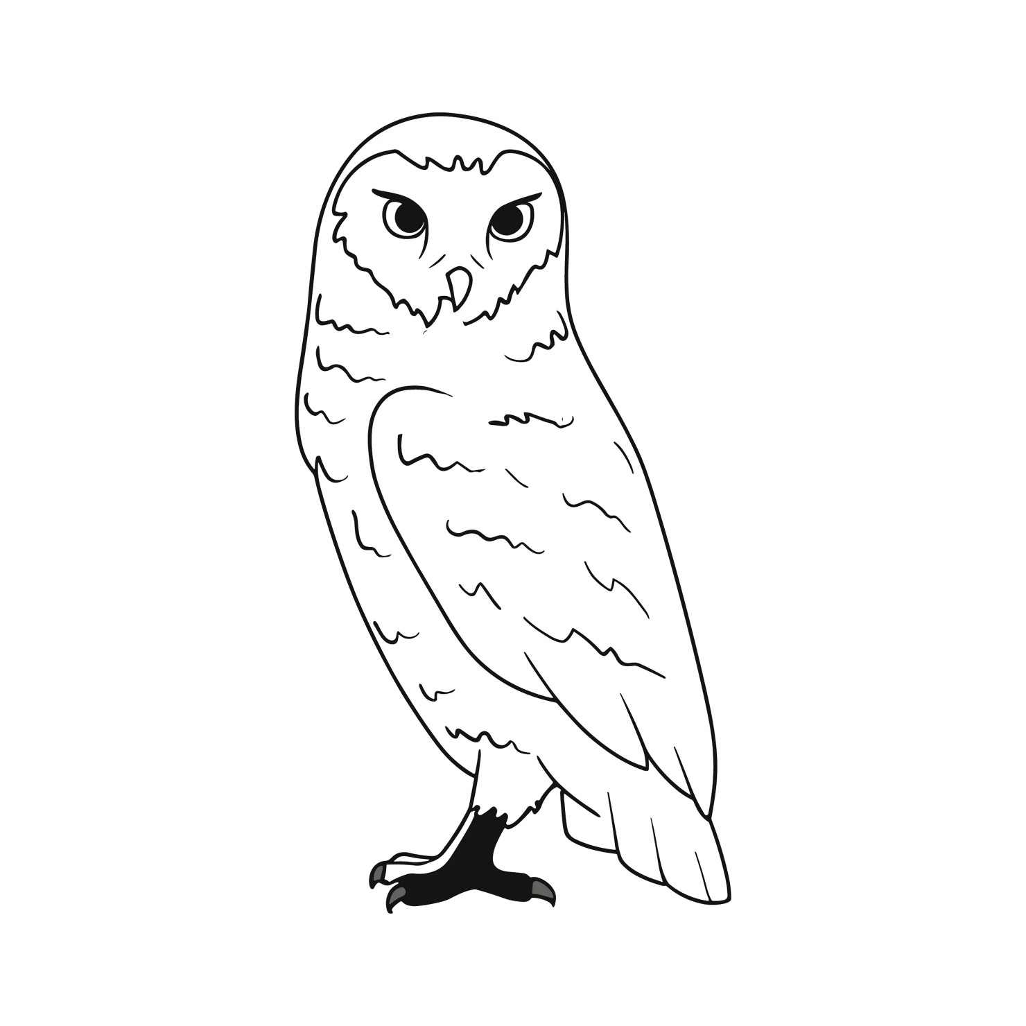Snowy Owl customizable clip art set design #37035
