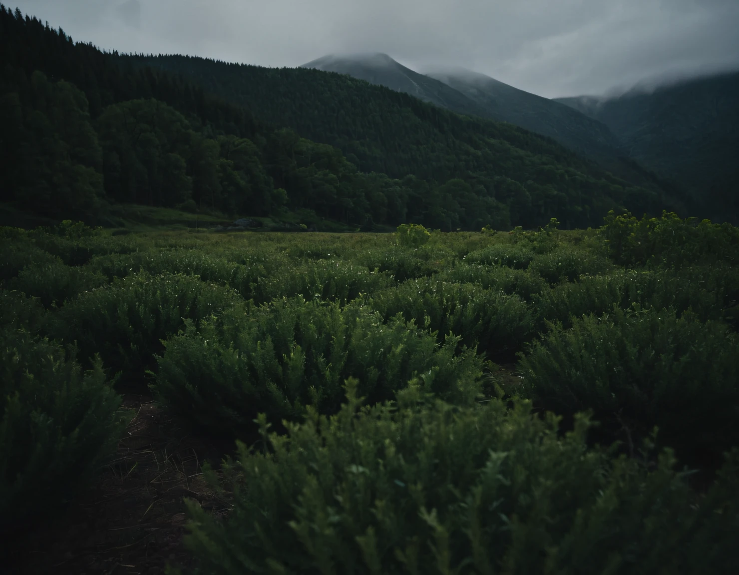 Landscape #39856