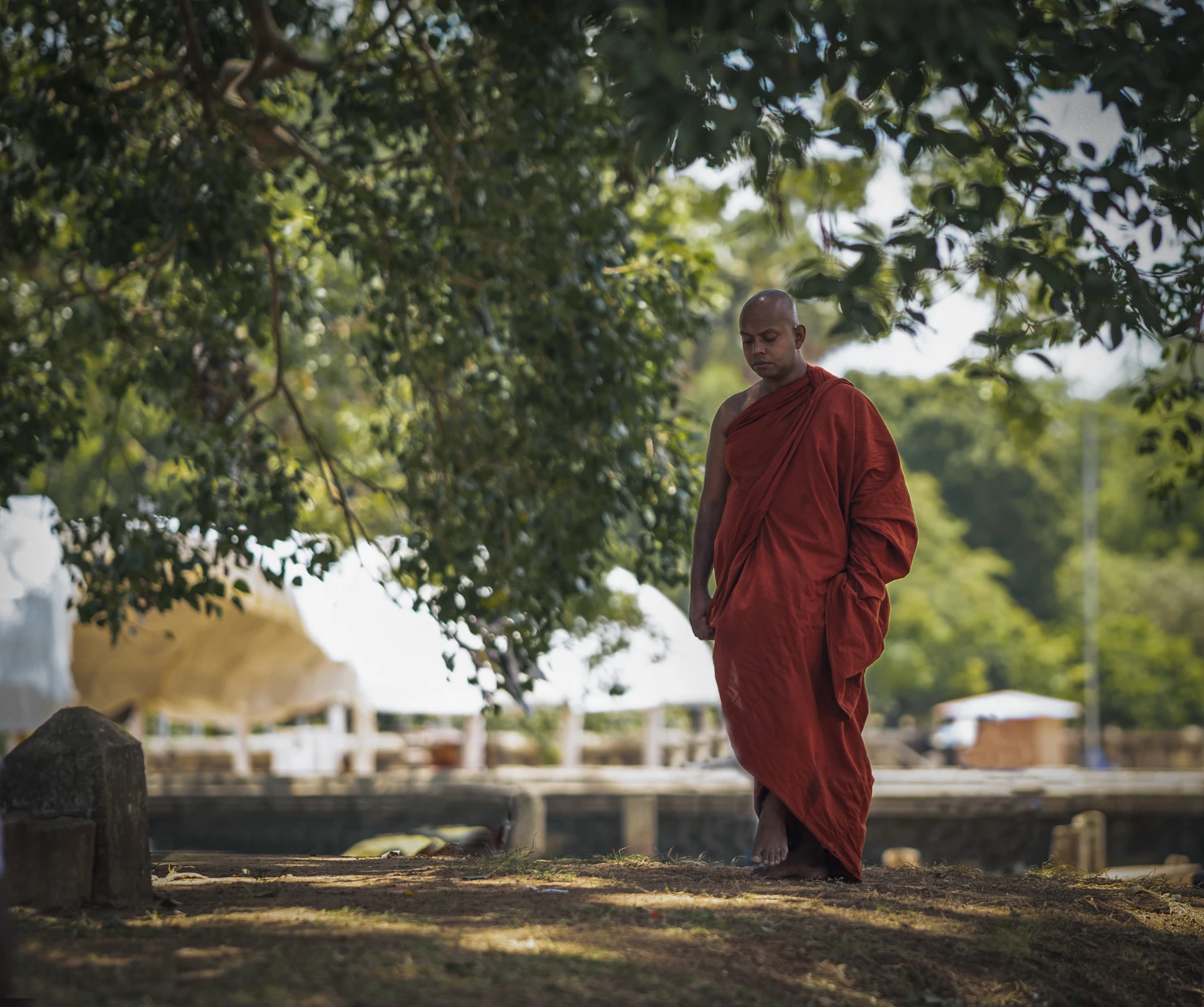 The Monk , Sri Lanka. #39952