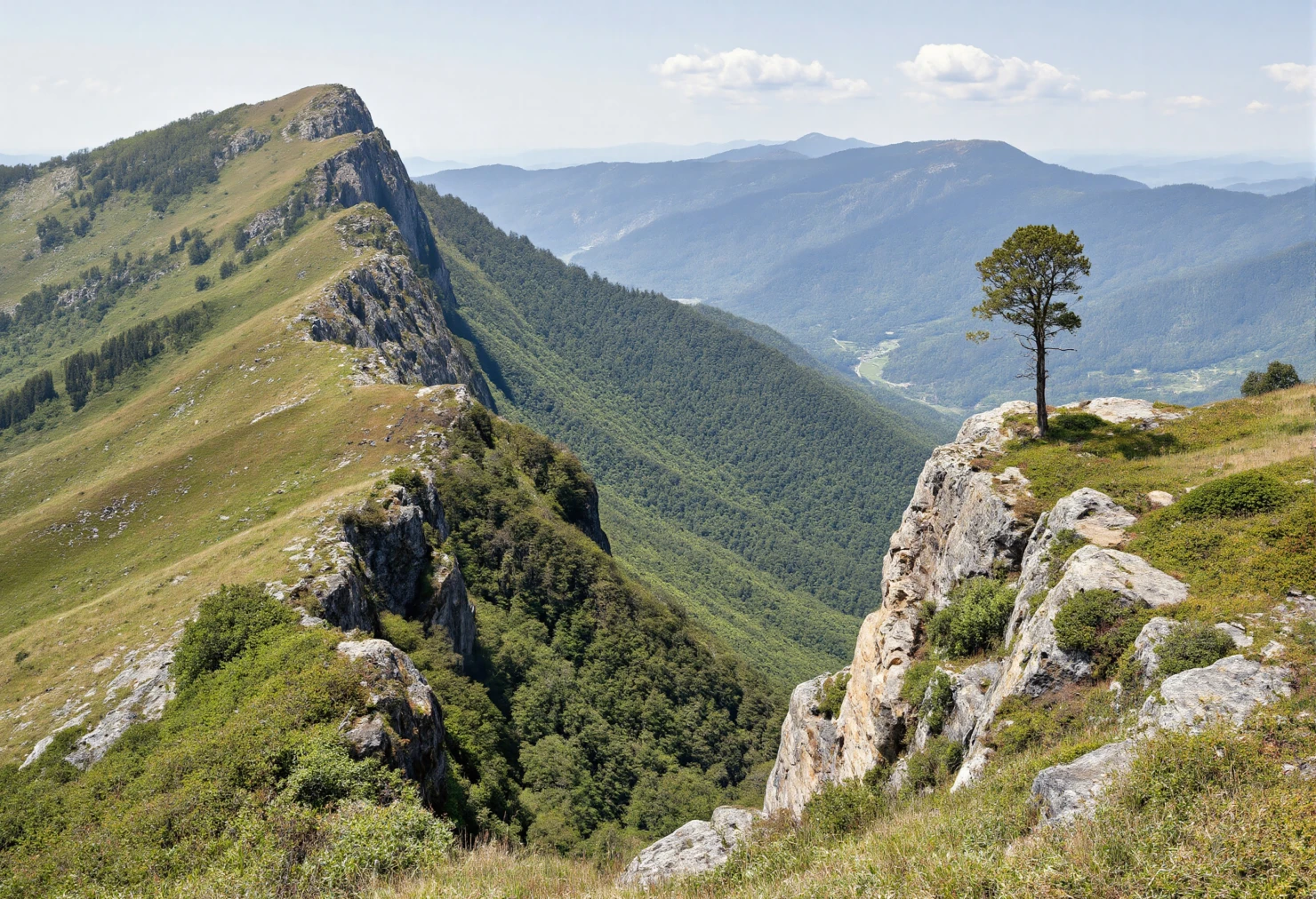 Scenic mountain ridge with lone tree #40116
