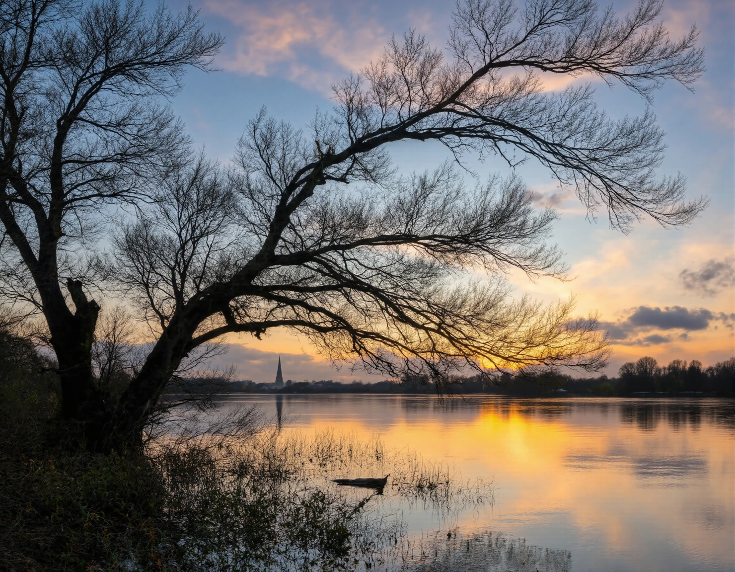 Tranquil Sunset Reflection over Calm Lake with Silhouetted Tree #40118