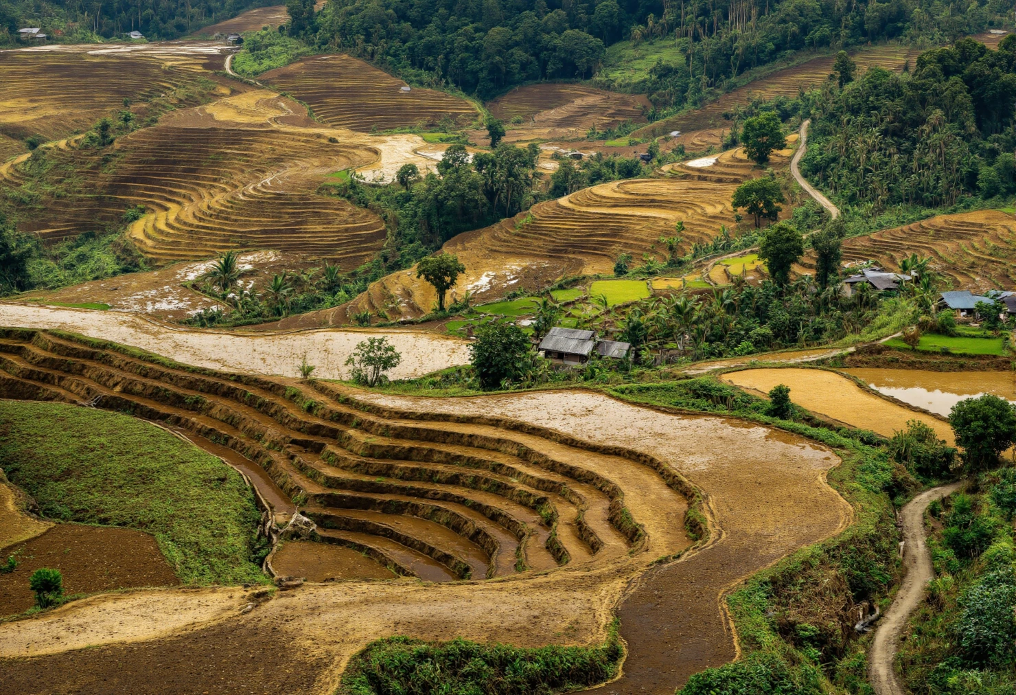 Picturesque Terraced Rice Fields in a Lush Mountain Valley #40184