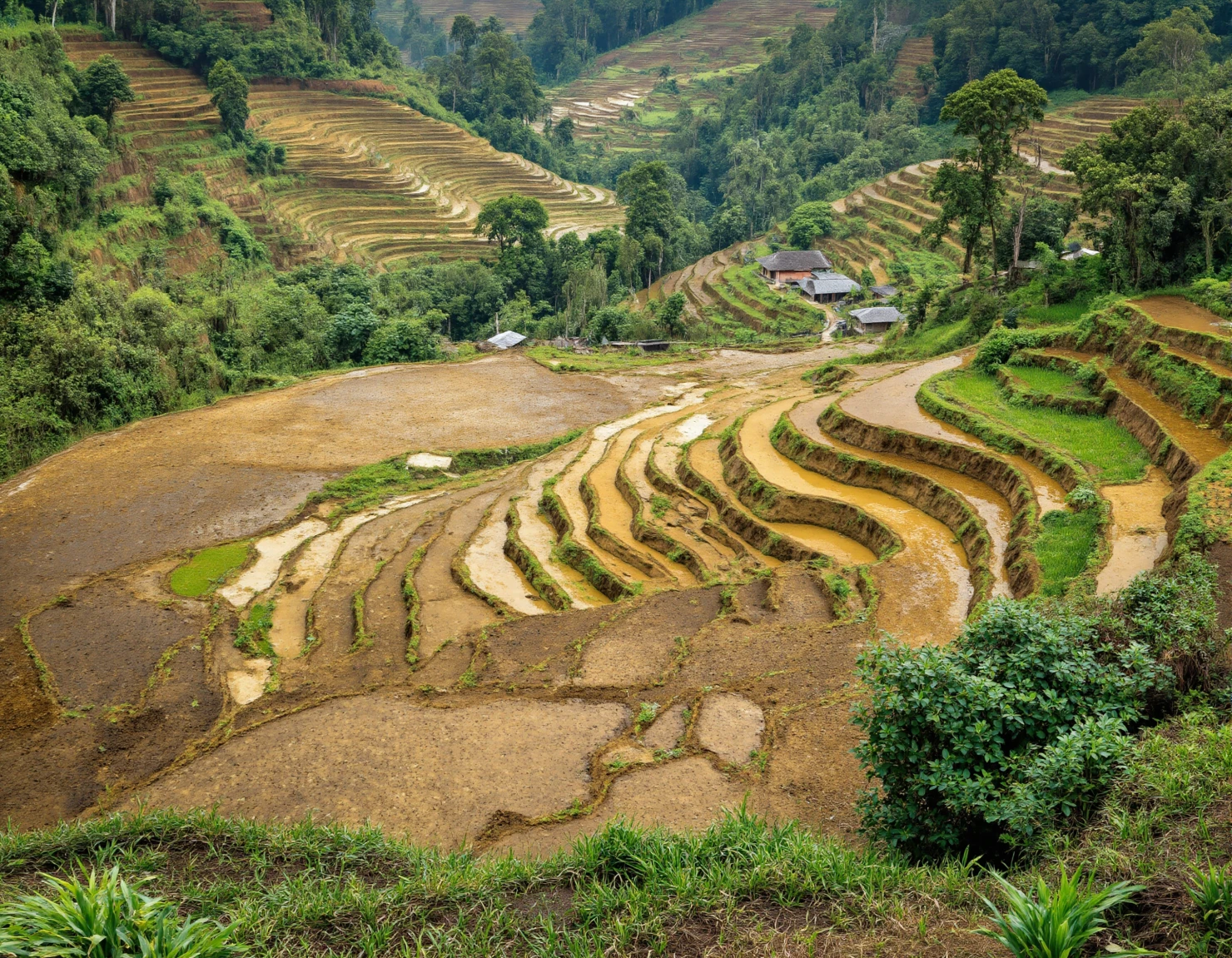 Picturesque Terraced Rice Fields in a Lush Mountain Valley #40188